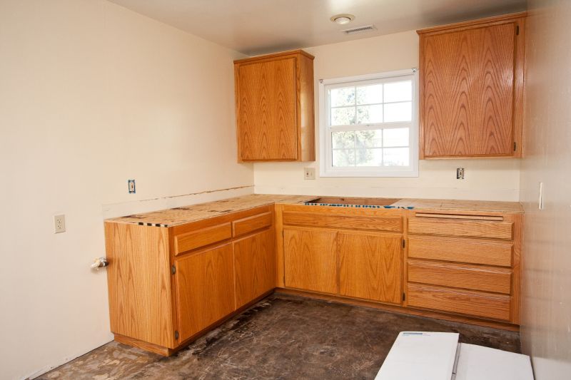 Kitchen Renovation